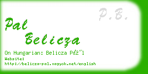 pal belicza business card